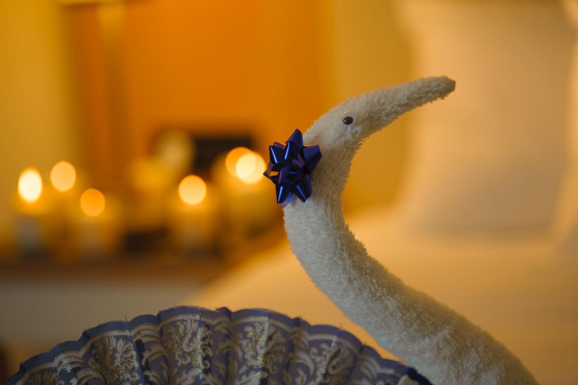 U Magic Palace Эйлат Экстерьер фото A Christmas decoration
